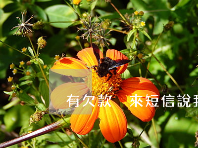 沒有欠款卻來短信說我欠款逾期