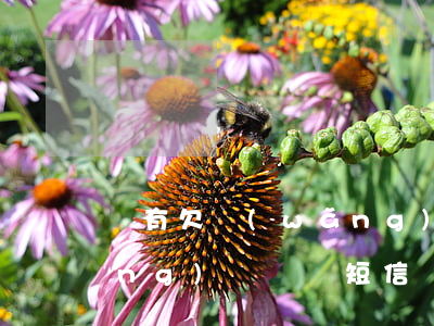 沒有欠網(wǎng)貸卻被轟炸(網(wǎng)貸沒還短信驗證轟炸)