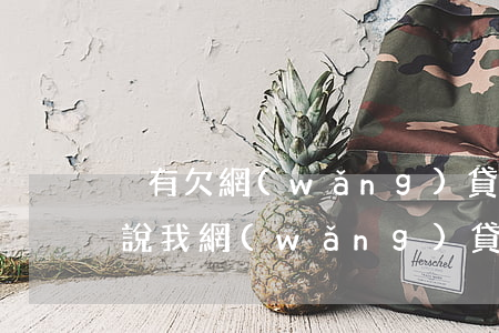 沒有欠網(wǎng)貸的錢說逾期怎么辦(說我網(wǎng)貸逾期我沒有借錢)