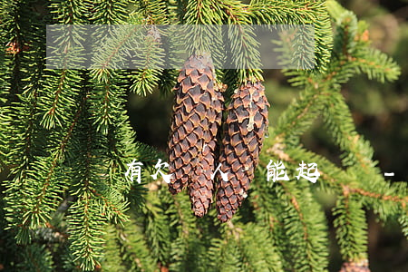 沒有欠錢人還能起訴嗎-沒有欠款被別人起訴