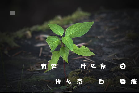沒有欠錢為什么京東白條要催還款-沒有欠錢為什么京東白條要催還款呢