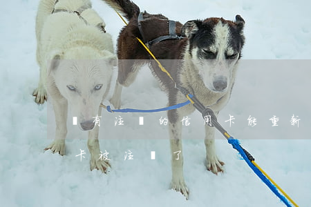 沒有注銷的信用卡能重新使用么（未逾期信用卡被注銷了）