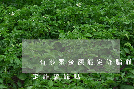 沒有涉案金額能定詐騙罪嗎(沒有涉案金額能定詐騙罪嗎)