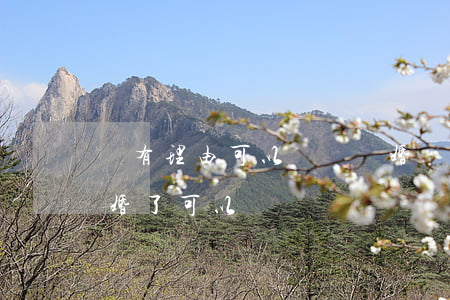 沒有理由可以訴訟離婚嗎(沒有任何理由想離婚了,可以離嗎)