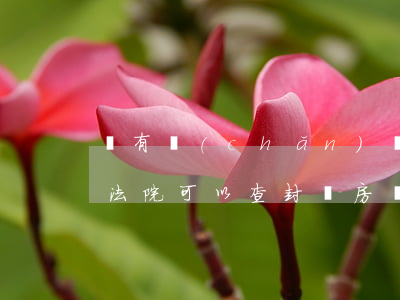 沒有產(chǎn)權(quán)的房子法院可以查封嗎(房產(chǎn)未過戶的在什么條件法院不能查封)