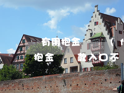 沒有用抱金豬卻發(fā)來短信說逾期-抱金豬還款入口不見了