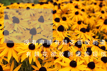 沒有申請有錢花卻收到還款短信-沒有申請有錢花卻收到還款短信怎么回事