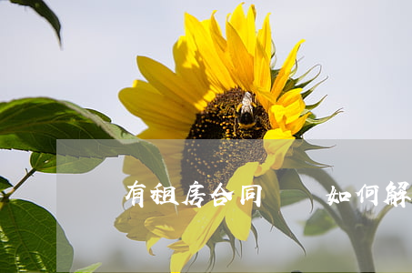 沒有租房合同糾紛如何解決(租房子沒合同)