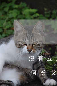 沒有立遺囑財(cái)產(chǎn)如何分，父親沒有立遺囑財(cái)產(chǎn)如何分