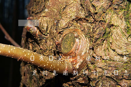 沒有約定利息逾期的利息該怎么算-沒有約定利息逾期的利息該怎么算呢
