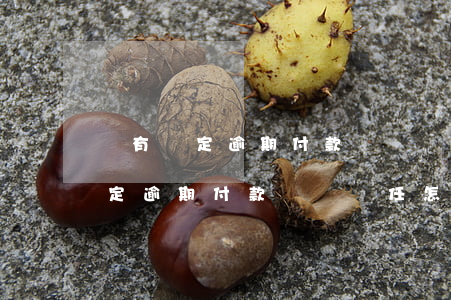 沒有約定逾期付款違約責任怎么算-沒有約定逾期付款違約責任怎么算的