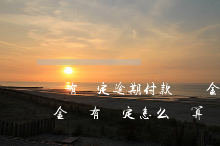 沒有約定逾期付款違約金如何計算（逾期違約金沒有約定怎么計算）