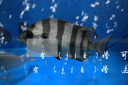 沒有結(jié)婚證可以去法院起訴嗎(沒有結(jié)婚證法院能管嗎)