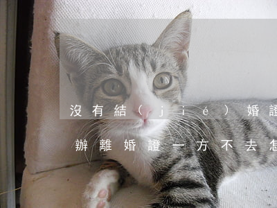 沒有結(jié)婚證的一方要離婚怎么辦(辦離婚證一方不去怎么辦)