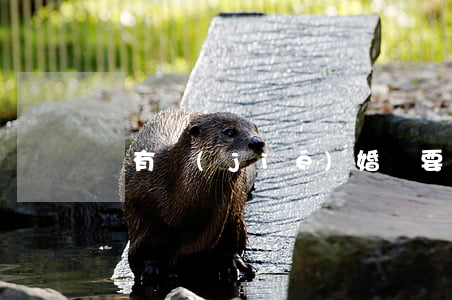 沒有結(jié)婚證要怎么離婚
