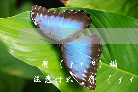沒有結(jié)婚證離婚應(yīng)注意什么(沒有結(jié)婚證咋樣離婚)