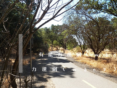 沒有能力還網(wǎng)貸怎么辦-無能力還網(wǎng)貸法院會怎么判