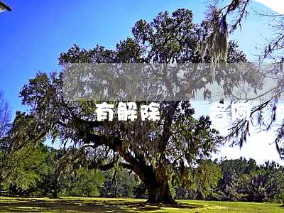 沒有解除勞動合同證明怎么辦