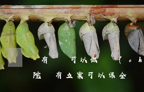 沒有訴訟可以做財產(chǎn)保全嗎(法院沒有立案可以保全財產(chǎn)嗎)