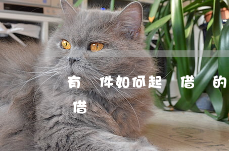 沒有證件如何起訴借錢的人（沒有證件如何起訴借錢）