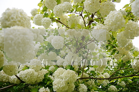 沒有證據(jù)起訴我欠錢