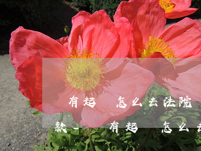沒有起訴怎么去法院協(xié)商分期還款-沒有起訴怎么去法院協(xié)商分期還款呢