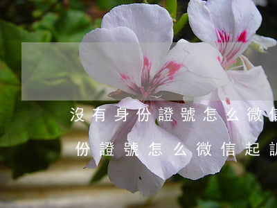 沒有身份證號怎么微信起訴欠款人-沒有身份證號怎么微信起訴欠款人呢