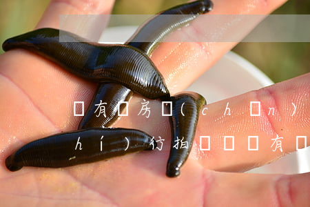沒有辦房產(chǎn)證法院可以執(zhí)行拍賣嗎(沒有辦理房產(chǎn)證的房子法院可以拍賣嗎)