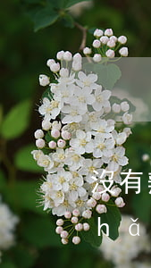 沒有辦理繼承權(quán)公證遺產(chǎn)怎么繼承(不需公證如何繼承財(cái)產(chǎn))