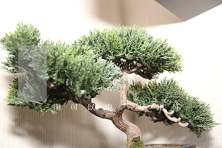 沒有辦過信用卡但逾期-有欠款但是沒有逾期可以申請信用卡嗎