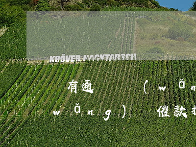 沒有通訊錄網(wǎng)貸怎么催收(網(wǎng)貸催款打電話給通訊錄好友怎么辦)