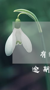 沒有逾期什么貸款好下(有沒有什么貸款不看逾期)
