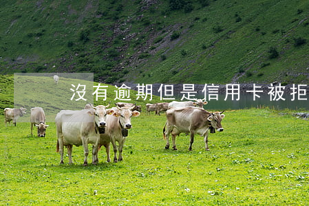 沒有逾期但是信用卡被拒(信用卡不小心逾期)