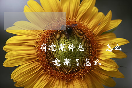沒有逾期停息掛賬怎么協(xié)商(停息掛賬逾期了怎么辦)