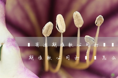 沒有逾期催款公司打電話怎么解決-沒有逾期催款公司打電話怎么解決呢