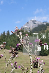 沒有逾期協(xié)商還款成功會上征信嗎 逾期了協(xié)商還款影響征信嗎