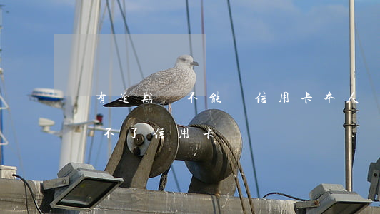 沒有逾期卻不能辦信用卡(本人沒有逾期怎么辦不了信用卡?)