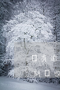 沒有逾期卻收到1069逾期短信-沒有逾期卻收到1069逾期短信怎么辦