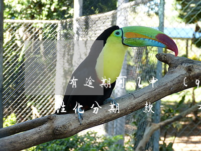 沒有逾期可以申請(qǐng)個(gè)性化分期還款-沒有逾期可以申請(qǐng)個(gè)性化分期還款嗎
