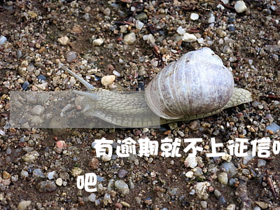 沒有逾期就不上征信吧(沒有逾期就不上征信吧)