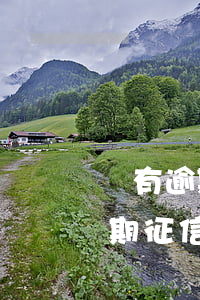 沒有逾期征信報告可以消除記錄嗎-沒有逾期征信報告可以消除記錄嗎怎么查