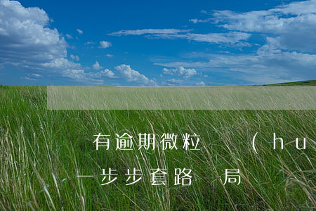 沒有逾期微粒貸會(huì)套路嗎(微粒貸一步步套路騙局)