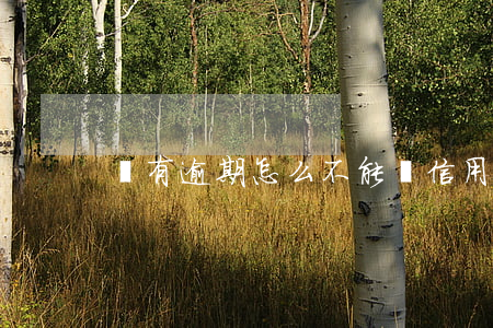 沒有逾期怎么不能辦信用卡
