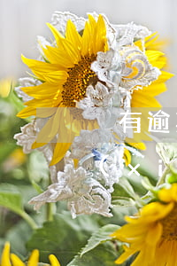 沒有逾期怎么協(xié)商還(沒有逾期協(xié)商還款成功會上征信嗎)