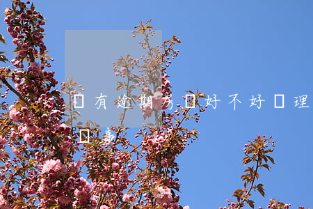 沒有逾期房貸好不好辦理(房貸可以逾期多久沒事)