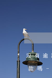 沒有逾期拍拍貸可以協(xié)商延期還款嗎-沒有逾期拍拍貸可以協(xié)商延期還款嗎