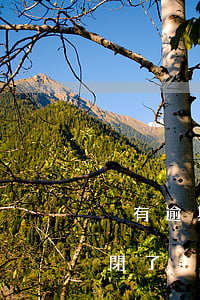 沒有逾期提前還花唄花唄被關(guān)閉了-沒有逾期提前還花唄花唄被關(guān)閉了怎么辦