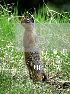 沒有逾期支付寶被凍結(jié) 支付寶逾期是先凍結(jié)財產(chǎn)嗎