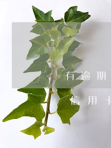 沒有逾期有信用卡負(fù)債能辦理房貸嗎（信用卡逾期沒有房子怎么處理）