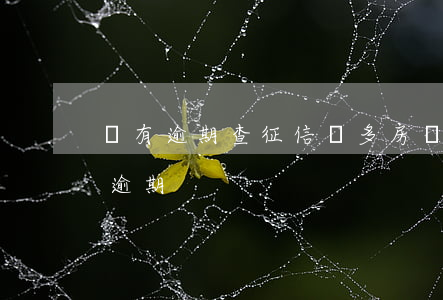 沒有逾期查征信過多房貸(征信借款多但沒有逾期)